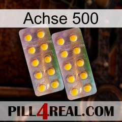 Axcil 500 new10